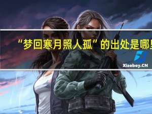 “梦回寒月照人孤”的出处是哪里
