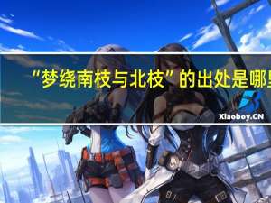 “梦绕南枝与北枝”的出处是哪里