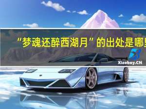 “梦魂还醉西湖月”的出处是哪里