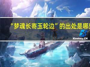 “梦魂长寄玉轮边”的出处是哪里
