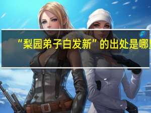 “梨园弟子白发新”的出处是哪里
