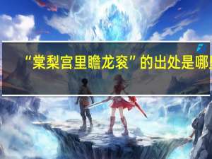 “棠梨宫里瞻龙衮”的出处是哪里