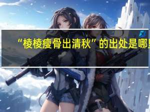 “棱棱瘦骨出清秋”的出处是哪里
