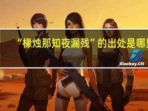 “椽烛那知夜漏残”的出处是哪里