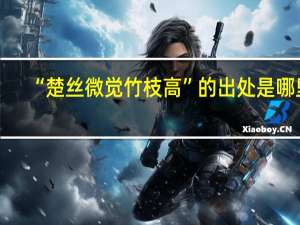 “楚丝微觉竹枝高”的出处是哪里