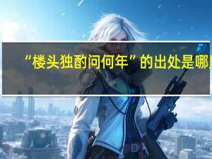 “楼头独酌问何年”的出处是哪里