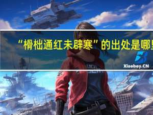 “榾柮通红未辟寒”的出处是哪里