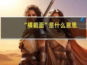 “横截面”是什么意思