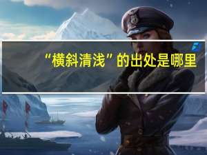 “横斜清浅”的出处是哪里