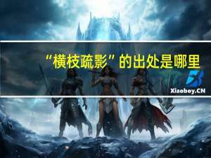 “横枝疏影”的出处是哪里