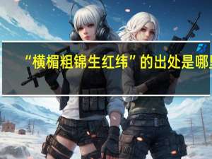 “横楣粗锦生红纬”的出处是哪里