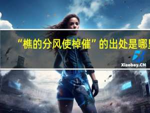 “樵的分风使棹催”的出处是哪里