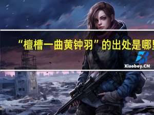 “檀槽一曲黄钟羽”的出处是哪里