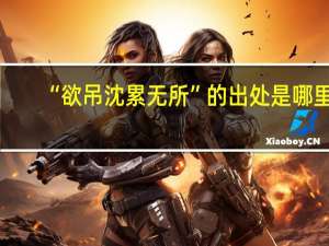 “欲吊沈累无所”的出处是哪里