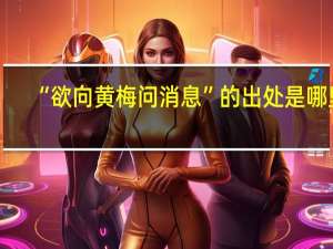 “欲向黄梅问消息”的出处是哪里