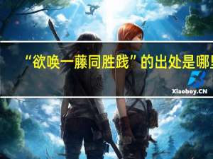 “欲唤一藤同胜践”的出处是哪里