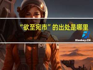 “欲至宛市”的出处是哪里