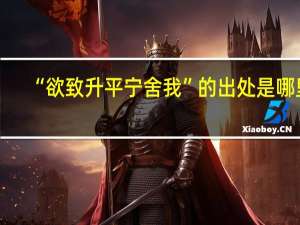“欲致升平宁舍我”的出处是哪里