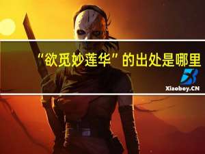 “欲觅妙莲华”的出处是哪里