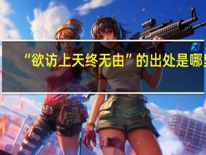 “欲访上天终无由”的出处是哪里