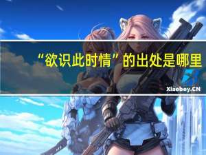 “欲识此时情”的出处是哪里