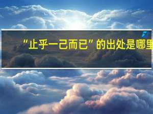 “止乎一己而已”的出处是哪里