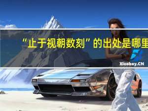 “止于视朝数刻”的出处是哪里
