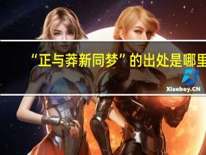 “正与莽新同梦”的出处是哪里