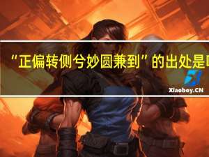 “正偏转侧兮妙圆兼到”的出处是哪里