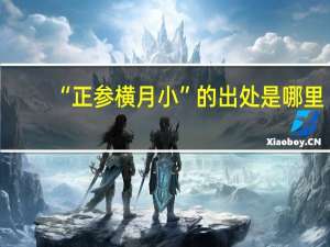 “正参横月小”的出处是哪里