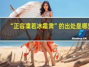 “正容凜若冰霜肃”的出处是哪里