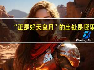 “正是好天良月”的出处是哪里