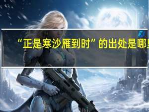 “正是寒沙雁到时”的出处是哪里