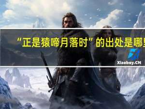 “正是猿啼月落时”的出处是哪里