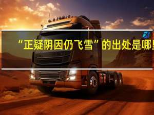 “正疑阴因仍飞雪”的出处是哪里