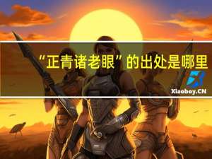 “正青诸老眼”的出处是哪里