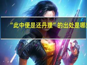 “此中便是还丹理”的出处是哪里