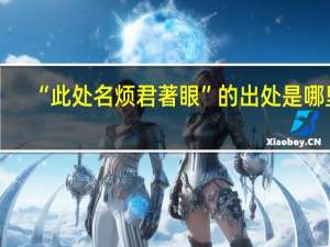 “此处名烦君著眼”的出处是哪里