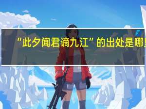 “此夕闻君谪九江”的出处是哪里