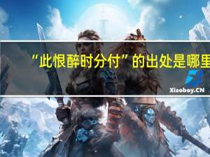 “此恨醉时分付”的出处是哪里