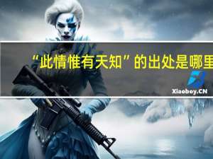 “此情惟有天知”的出处是哪里