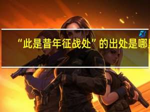 “此是昔年征战处”的出处是哪里