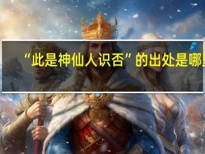 “此是神仙人识否”的出处是哪里