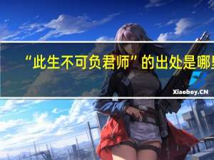 “此生不可负君师”的出处是哪里