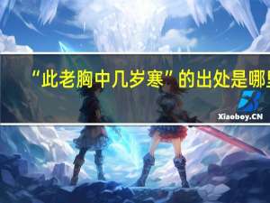 “此老胸中几岁寒”的出处是哪里