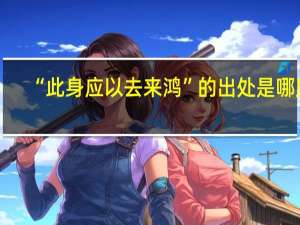 “此身应以去来鸿”的出处是哪里