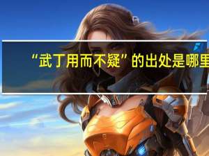 “武丁用而不疑”的出处是哪里