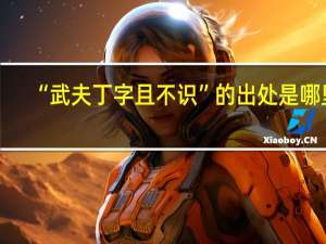 “武夫丁字且不识”的出处是哪里