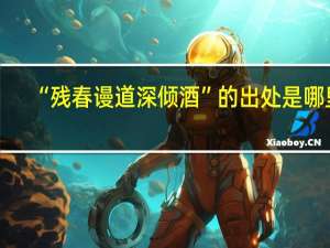 “残春谩道深倾酒”的出处是哪里