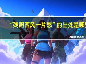 “残照西风一片愁”的出处是哪里